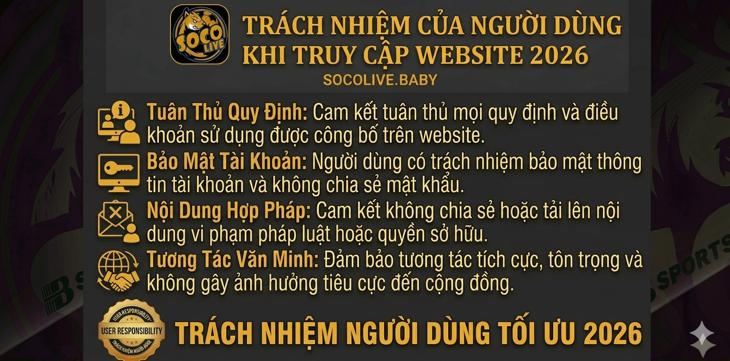 Chính Sách Bảo Mật SOCOLIVE: Dữ Liệu, Cookie, Email 2026 2 Trách nhiệm của người dùng khi truy cập website